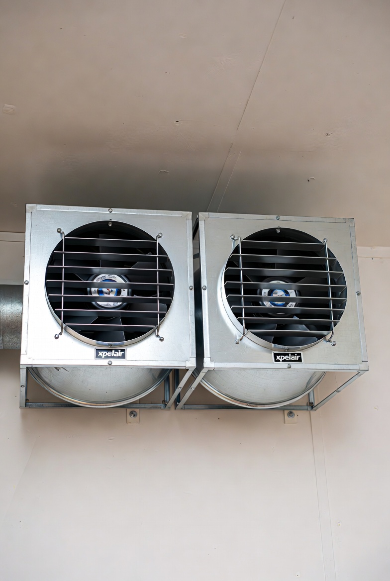 Wall Fan